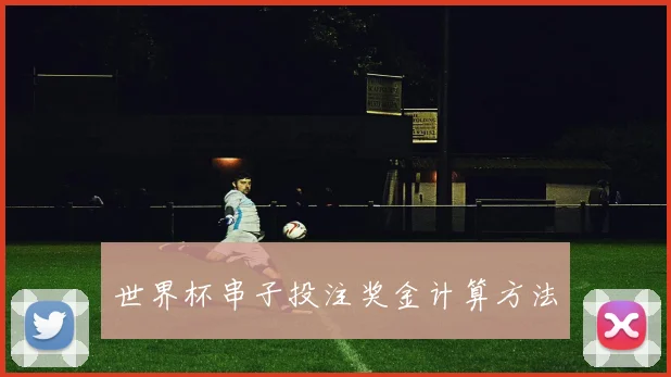 世界杯串子投注奖金计算方法