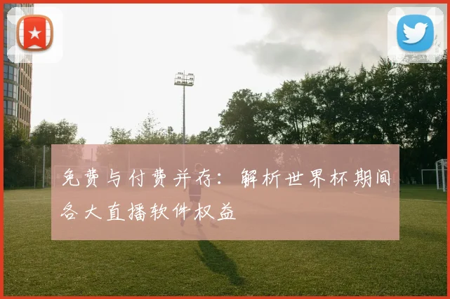 免费与付费并存：解析世界杯期间各大直播软件权益