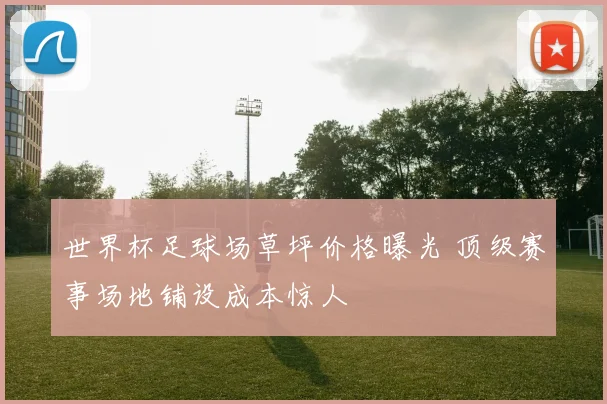 世界杯足球场草坪价格曝光 顶级赛事场地铺设成本惊人