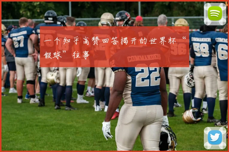 一个知乎高赞回答揭开的世界杯“假球”往事