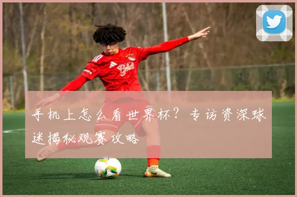 手机上怎么看世界杯？专访资深球迷揭秘观赛攻略