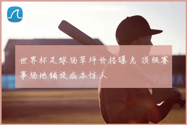 世界杯足球场草坪价格曝光 顶级赛事场地铺设成本惊人