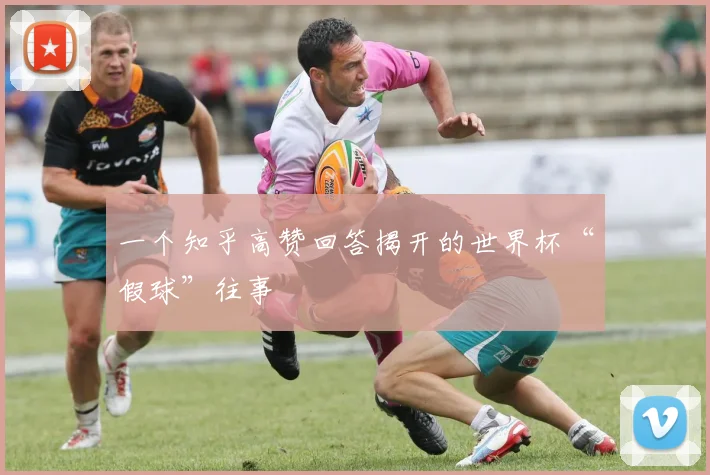 一个知乎高赞回答揭开的世界杯“假球”往事